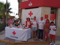 IMG_20210815_111535